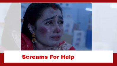 Pyar Ka Pehla Naam Radha Mohan Spoiler: Radha screams for help from inside the freezer room