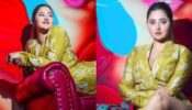 Rashami Desai is happy and cheerful (see adorable video)