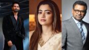 Scoop: Shahid Kapoor all set to romance Rashmika Mandanna in Anees Bazmee's Next 808427