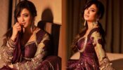 Shweta Tiwari rolls back clock, takes over internet by storm in stunning photoshoot