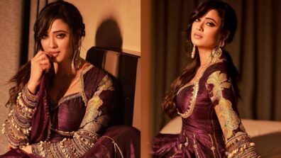 Shweta Tiwari rolls back clock, takes over internet by storm in stunning photoshoot