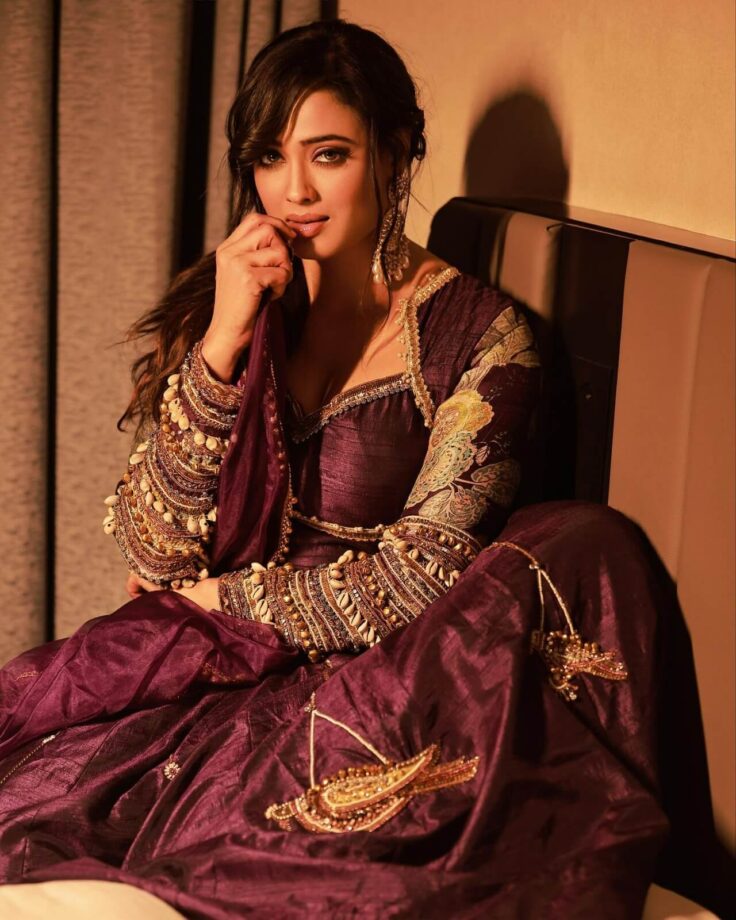 Shweta Tiwari rolls back clock, takes over internet by storm in stunning photoshoot 809178