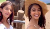 ‘Sri Lanka’ diaries ft. ‘Kisi Ka Bhai Kisi Ki Jaan’ actress Pooja Hegde