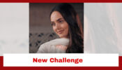 Teri Meri Doriyaann Spoiler: Sahiba takes up a new challenge