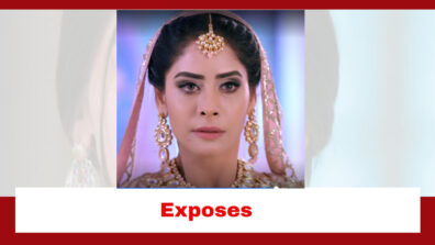 Teri Meri Doriyaann Spoiler: Seerat gears up to expose Garry