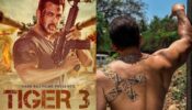 ‘Tiger Zakhmi Hai’, Salman Khan shares update on Tiger 3 after getting injured on sets