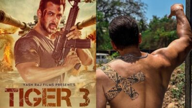 ‘Tiger Zakhmi Hai’, Salman Khan shares update on Tiger 3 after getting injured on sets