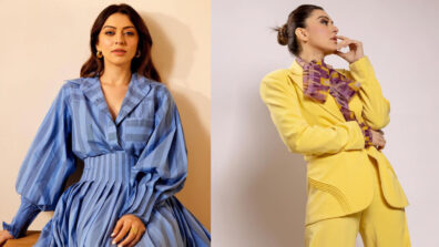 Times when Hansika Motwani proved to be a fashion chameleon, see pics