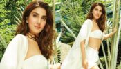 Vaani Kapoor Flaunts Curves In Dreamy White Dress, Fans Go Head Over Heels