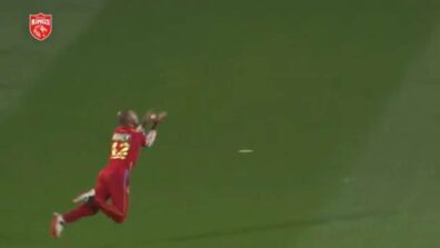 Watch: Shikhar Dhawan takes stunning catch to dismiss David Warner in PBKS Vs DC match, see iconic celebration