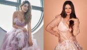 What’s cooking at Nikki Tamboli and Divyanka Tripathi’s end?
