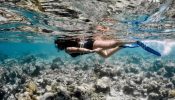 Ashnoor Kaur witnesses ‘surreal’ underwater, check out