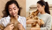 Rashmika Mandanna’s ‘awesome pawsome’ lovey-dovey moment
