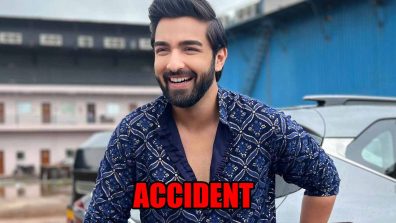 Bhagya Lakshmi spoiler: Rishi meets with an accident