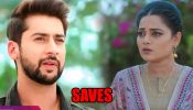 Dil Diyaan Gallaan spoiler: Veer saves Prabhjot from an accident