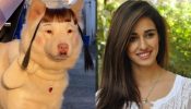 Disha Patani is all ‘ready’ for her ‘date’, shares insights