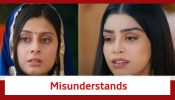 Udaariyaan Spoiler: Harleen misunderstands Nehmat