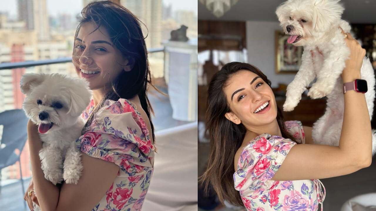 Hansika Motwani’s pawsome moment is the next sweetest thing to witness on internet 814925