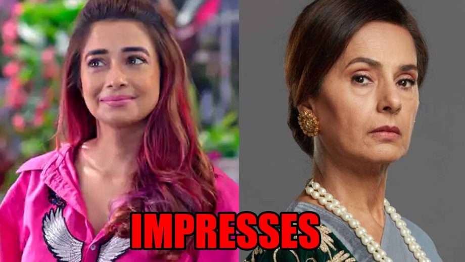 Hum Rahein Na Rahein Hum spoiler: Surilii’s suggestion impresses Ranimaa 821106