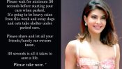 Jacqueline Fernandez shares important message for animal welfare, fans shower love