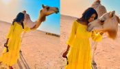 Jasmin Bhasin’s adorable camel love moment in Abu Dhabi