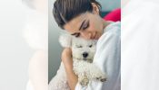 Kriti Sanon cuddling up with her furball, Disco is the cutest picture on the internet today