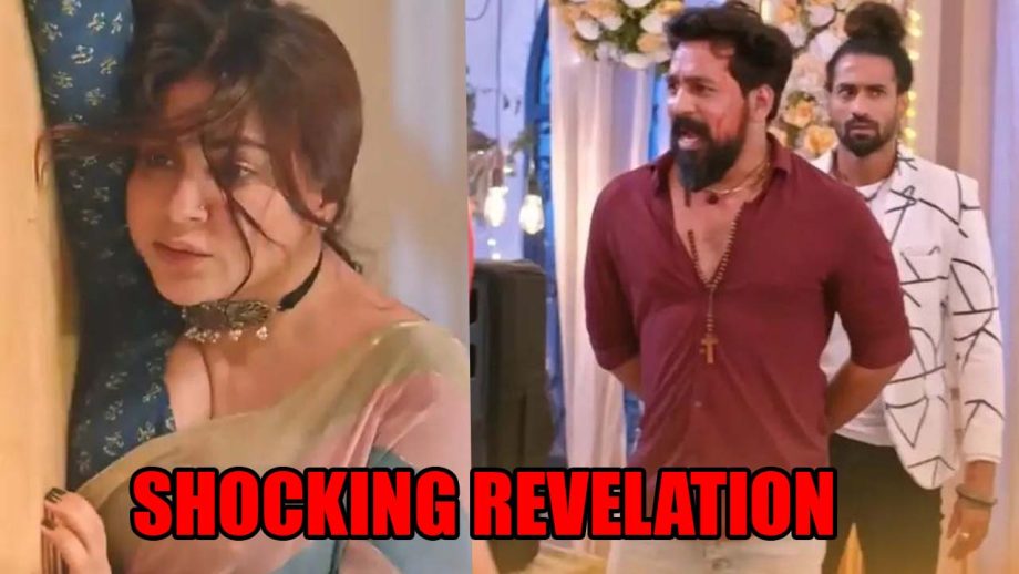 Kundali Bhagya spoiler: Contract killer Raja makes a shocking revelation 819054