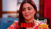 Kundali Bhagya spoiler: Is Preeta dead?