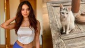 Malavika Mohanan is obsessed with cats, here’s why