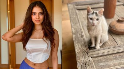 Malavika Mohanan is obsessed with cats, here’s why