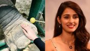 Meet Disha Patani’s special friend, pics inside