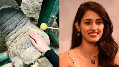 Meet Disha Patani’s special friend, pics inside