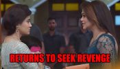 Meet spoiler: Shagun adopts Cheeku to seek revenge from Meet