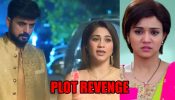 Meet spoiler: Shagun and Mahinder plot revenge against Meet