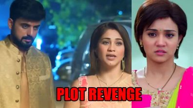 Meet spoiler: Shagun and Mahinder plot revenge against Meet