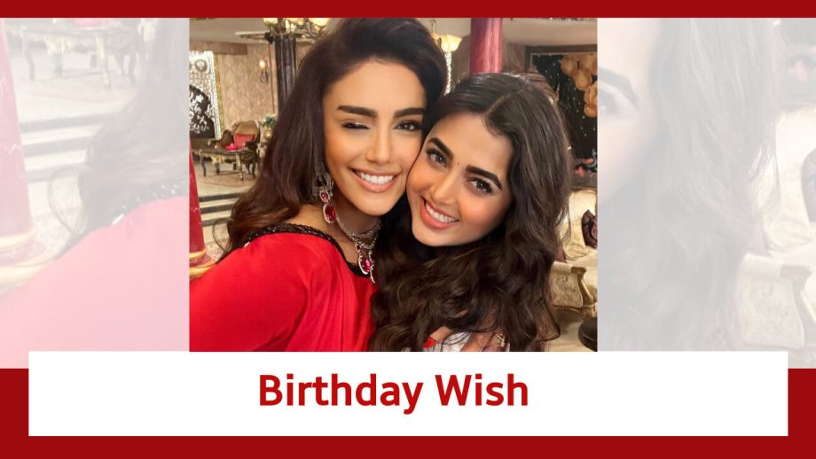 Naagin Fame Mahekk Chahal Wishes Co-star Tejasswi Prakash On Her Birthday 814495