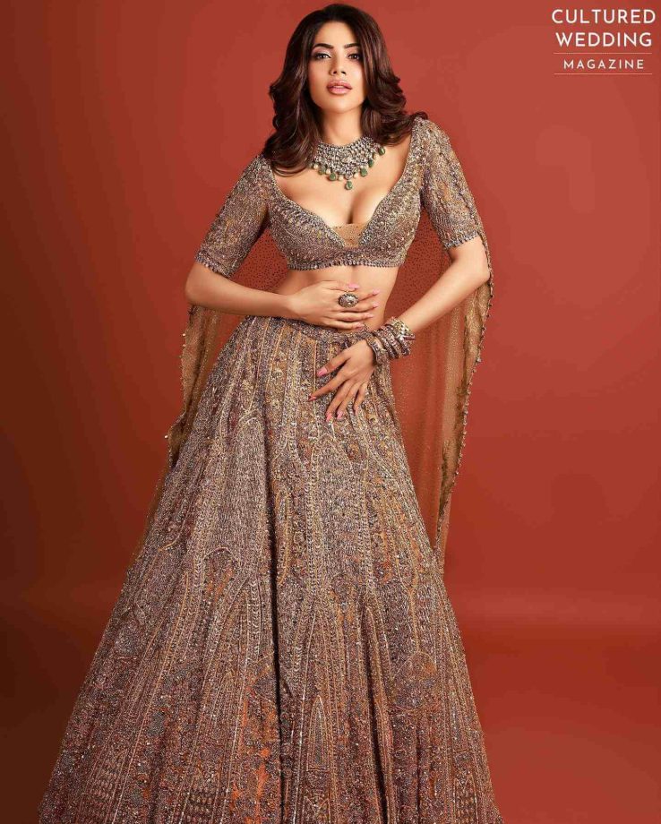 Nikki Tamboli's shimmery magic in bold and beautiful ethnic lehenga stabs hearts 817888