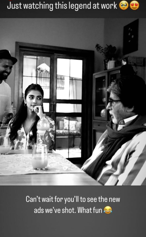 Pooja Hegde is in awe of 'Shahenshah' Amitabh Bachchan, find out why 818336