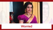 Pyar Ka Pehla Naam Radha Mohan Spoiler: Radha worried about past secrets opening up