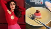 Samantha Ruth Prabhu’s Belgrade trip ends on a sweet note, here’s how