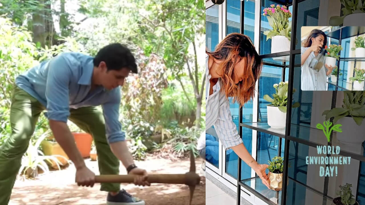 Sidharth Malhotra and Erica Fernandes turn saviors for environment, deets inside 813071