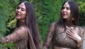 Sonam Bajwa crosses all limits of sensuality, here’s proof