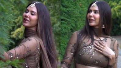 Sonam Bajwa crosses all limits of sensuality, here’s proof