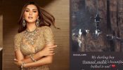 Tara Sutaria Congratulates Her Favorites, Find Who?