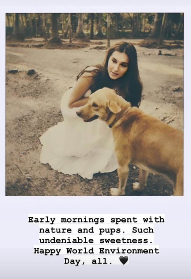 Tara Sutaria's Nature Love Is Awe-Inspiring 813297