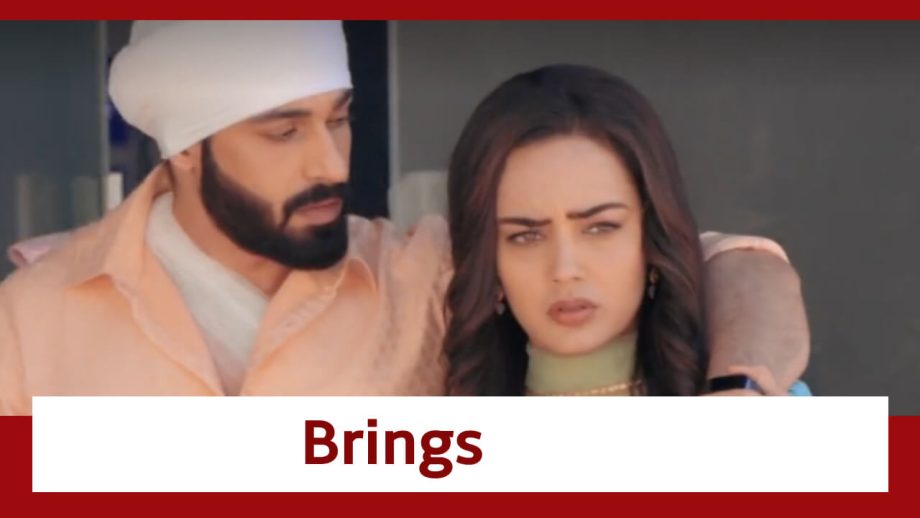 Teri Meri Doriyaann Spoiler: Sahiba brings Angad home 815561