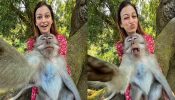 TMKOC: Sunayana Fozdar’s cute and adorable ‘monkey’ love