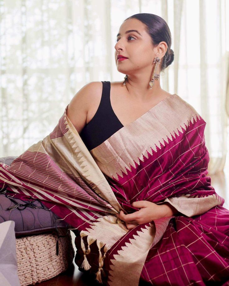 Vidya Balan Is An Epitome Of Elegance In Saree 818684