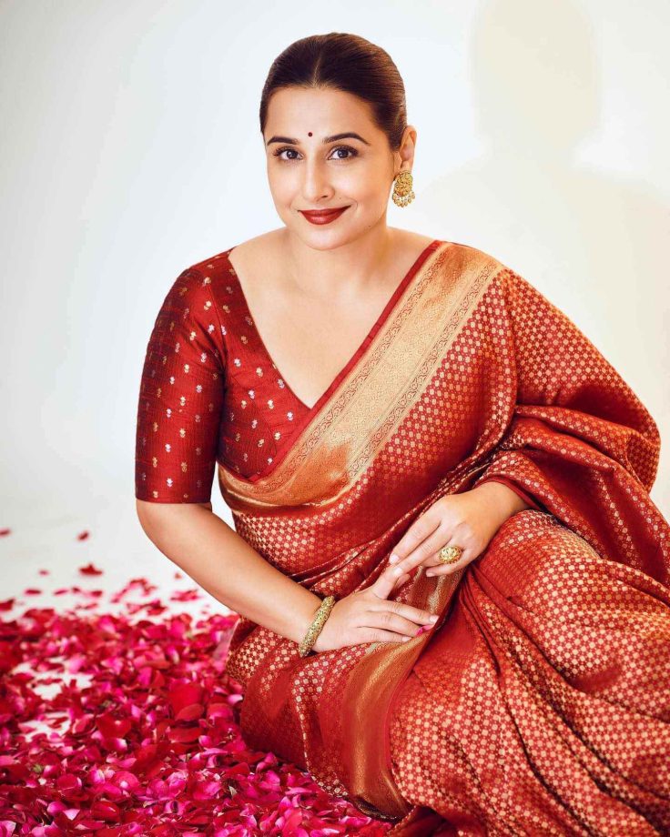 Vidya Balan Is An Epitome Of Elegance In Saree 818689