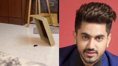 Zain Imam’s encounter with a pipistrelle (bat) leaves internet in splits, watch